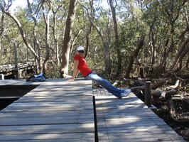 Alespoň krátký dpočinek jsme si tady ale nakonec dopřáli. Nikde ani noha a neuvěřitelné ticho. Dokonce ani ptáci tu neštěbetali (určitě se taky bojí těch pavouků) :-) | Australia - Sydney Olympic Park - Badu Mangroves - 9.5.2010